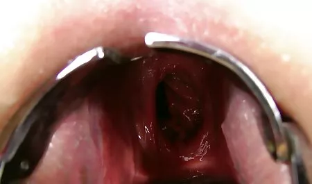 Two Shalashovka asian oorn licking anal, Negritos in the country.